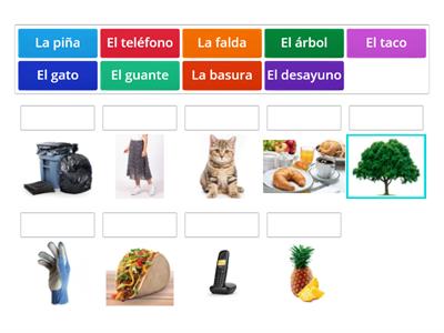 Sustantivos en español