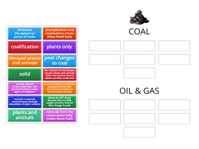 STAAR Review: Fossil Fuels