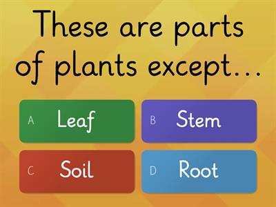 Quiz: Plants
