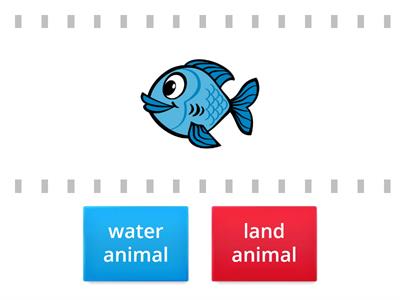 water animals and land animals