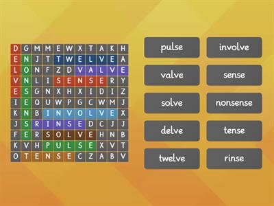 4.4 Wordsearch (se and ve)