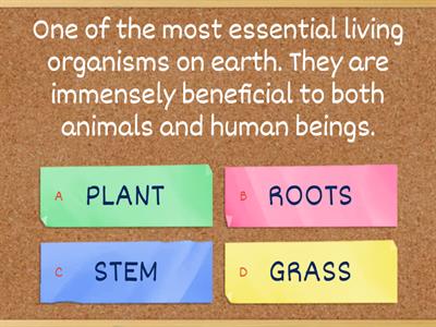 PARTS OF THE PLANTS