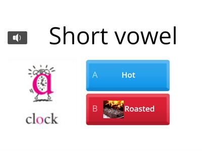Vowel sounds (short and long vowel sounds)