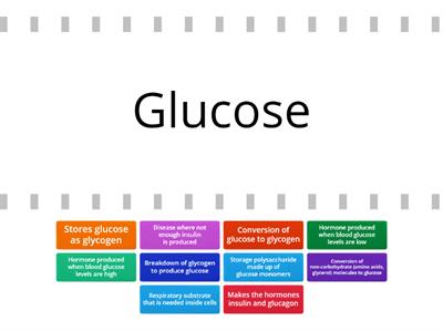 Blood sugar regulation key words