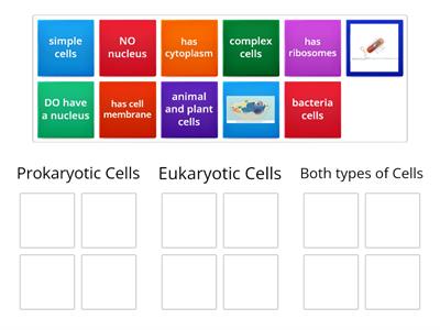 Prokaryotic vs Eukaryotic Cells