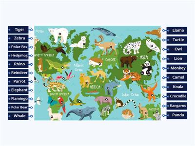 Animals on the World Map