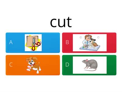 CVC words with short vowels