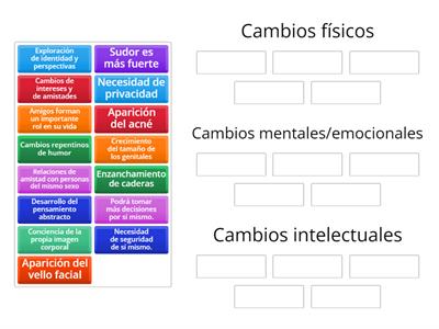 Cambios en la Pubertad-KM