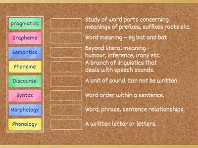 Terminology in Literacy Instruction