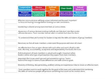 Characteristics of an Effective Team