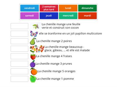 La chenille qui fait des trous - Jours de la semaine et papillon - toddles, KS1 