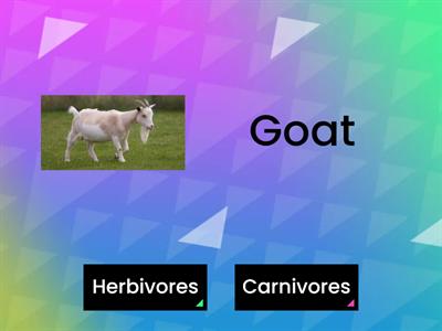 Herbivores or Carnivores