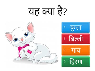 Hindi quiz