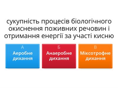 №19 Клітинне дихання. Біохімічні механізми дихання.