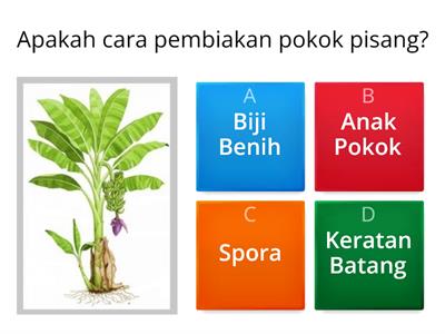 Tahun 3 Sains Cara Tumbuhan Membiak - Sumber Pengajaran