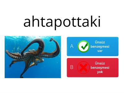 Ünsüz Benzeşmesi (Sertleşmesi) 