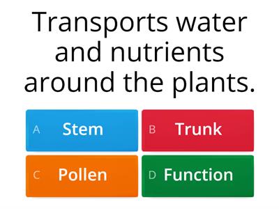 Plants vocabulary quiz Year 3