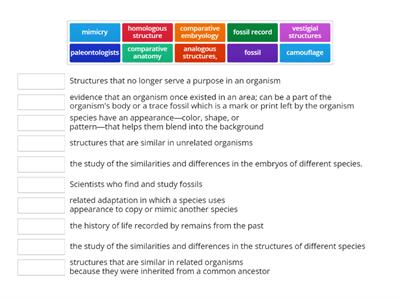 Mausteller 9.7 Evidence of Evolution