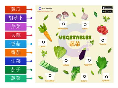 蔬菜汉字