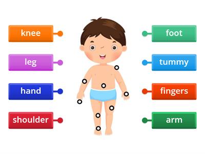 I NM A - Parts of the body