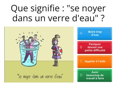 Expressions françaises et vocabulaire familier   FLE B1+