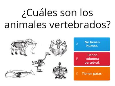  Animales vertebrados.