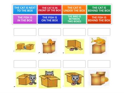 Position - Teaching resources