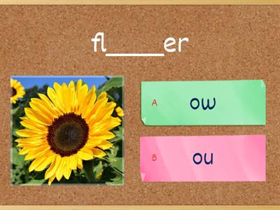 Vowel Team: ow ou