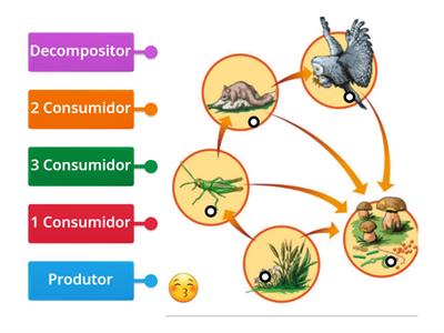 Cadeia Alimentar