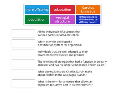 Evolution key words