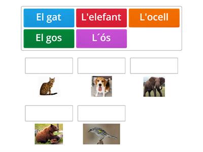 Els animals