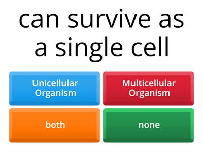 Unicellular VS Multicellular: Made By Yara