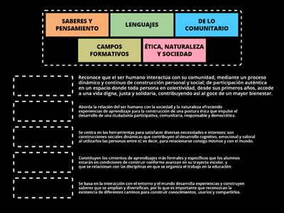 -CAMPOS FORMATIVOS-