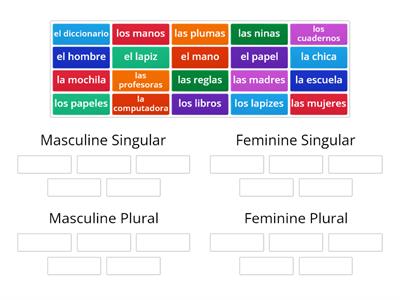 Masculine & Feminine Plural & Singular