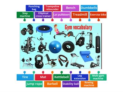 Gym vocabulary 