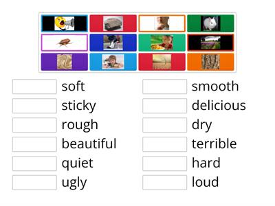 PRM 3 Unit 4 Our Senses Matching