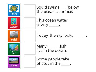 At Home in the Ocean: Vocabulary