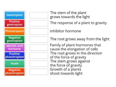 Plant hormones and growth