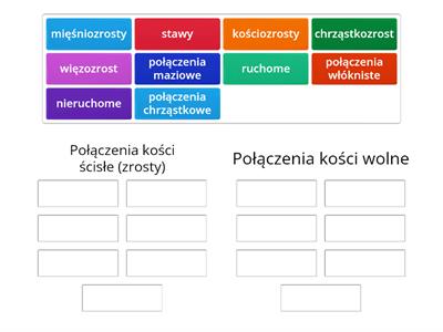 Połaczenia kości