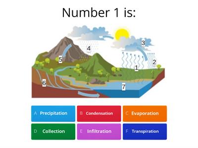 Water cycle