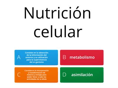 Nutrición Celular