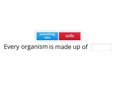 jamila mohammed - biology quiz 