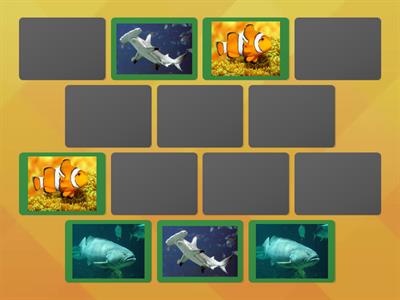 Match the Fish