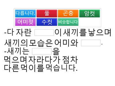 새끼를 낳는 동물의 한살이 정리퀴즈