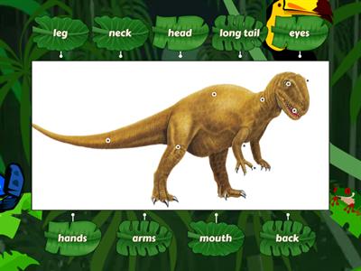 body parts ( dinosaur)