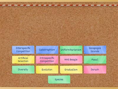 Evolution Vocabulary Review- Part 1