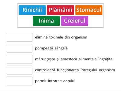 ORGANELE MAJORE ALE ANIMALELOR