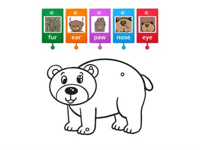 Bear labelling
