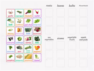 Types of vegetables 