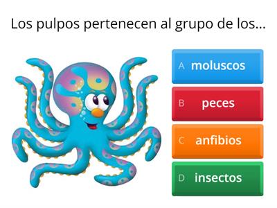 ANIMALES INVERTEBRADOS